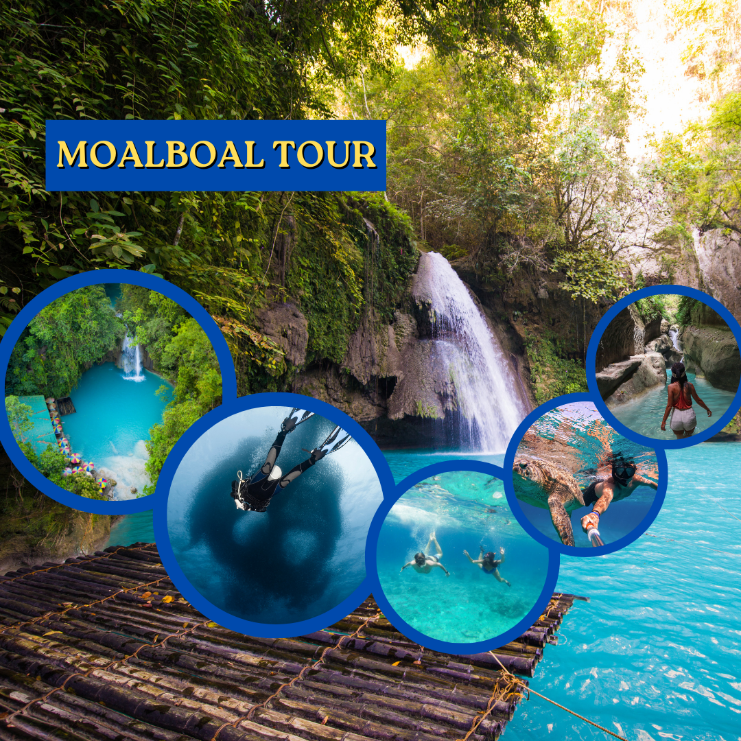  Moalboal Tour Packages